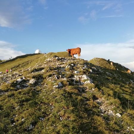 Cahute De Montagne Pour Profiter Du Haut Jura Premanon Exterior photo