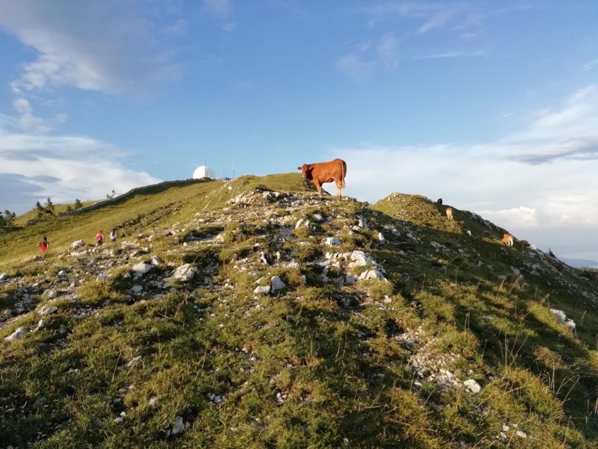 Cahute De Montagne Pour Profiter Du Haut Jura Premanon Exterior photo