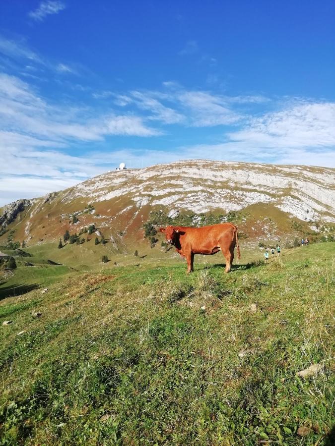 Cahute De Montagne Pour Profiter Du Haut Jura Premanon Exterior photo