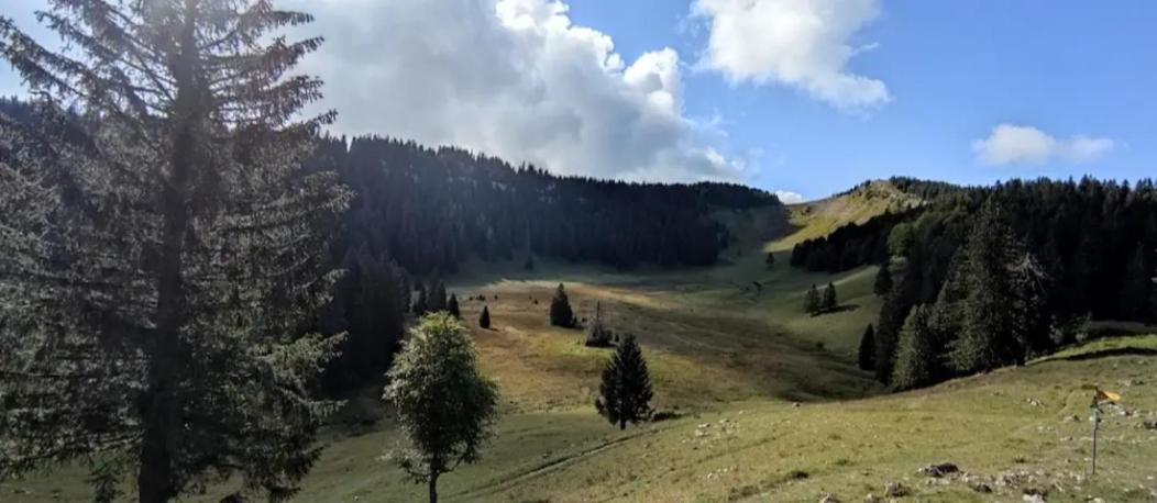 Cahute De Montagne Pour Profiter Du Haut Jura Premanon Exterior photo
